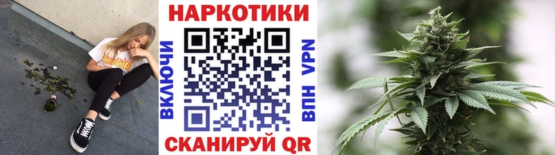 Наркотические вещества Кувандык Амфетамин  Кокаин  Гашиш  Меф  МЕТАДОН  Каннабис  Псилоцибиновые грибы 
