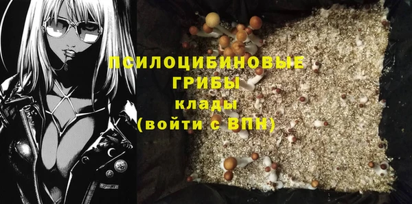 прущие крисы Балахна