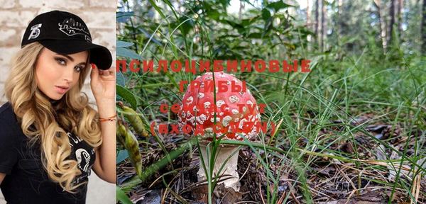 прущие крисы Балахна