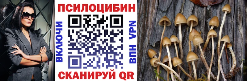 закладка  Кувандык  МЕГА маркетплейс  Галлюциногенные грибы прущие грибы 