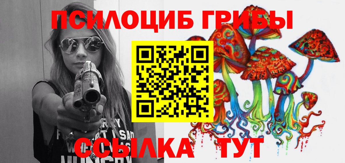 Галлюциногенные грибы Psilocybe  Вход с VPN  Псилоцибиновые грибы ЛСД  Кувандык 
