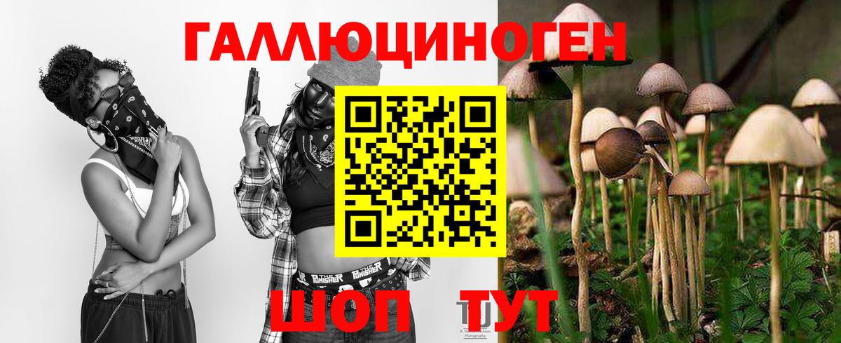 Псилоцибиновые грибы Magic Shrooms Кувандык