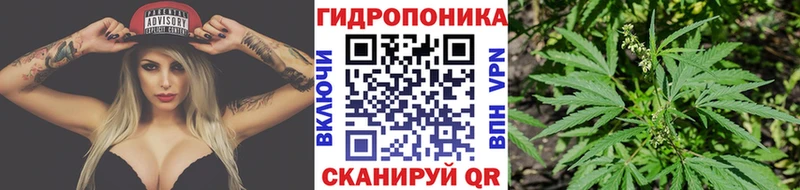 Бошки марихуана Amnesia Кувандык