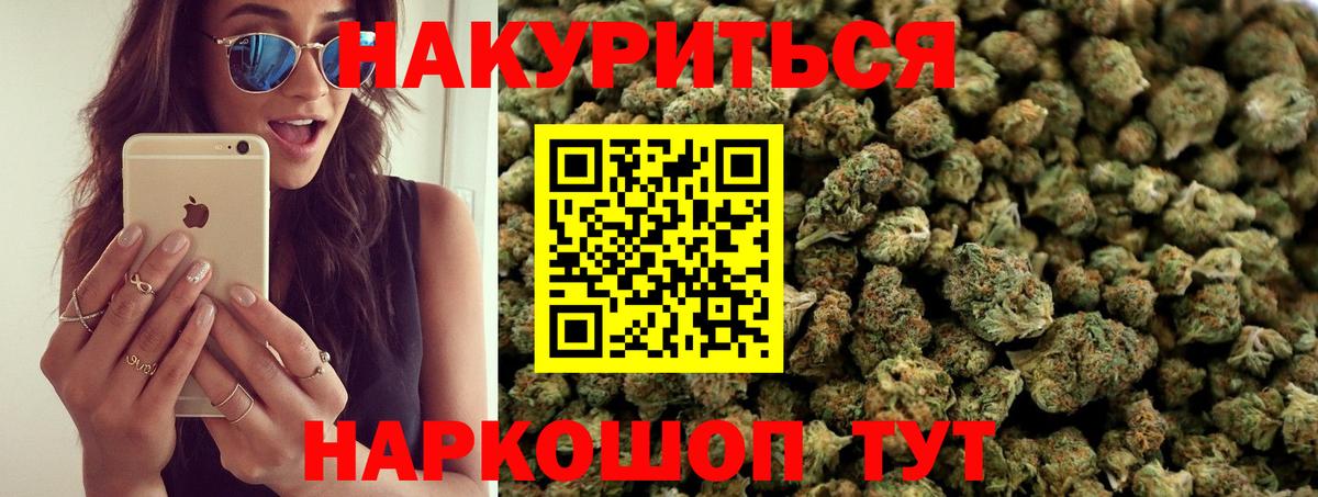 Кувандык  Каннабис планчик  Каннабис конопля  Вход с VPN 